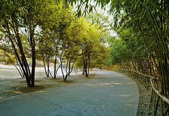 竹音寺第 7 张图片