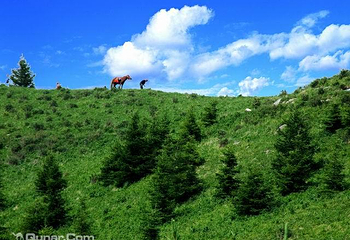 五岳寨风景区第 9 张图片