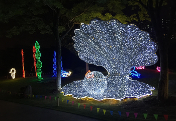 徽园灯展第 17 张图片