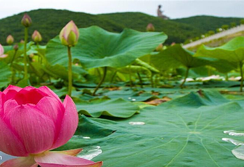 六鼎山文化旅游区第 5 张图片