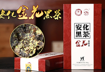 湘丰茶业第 6 张图片