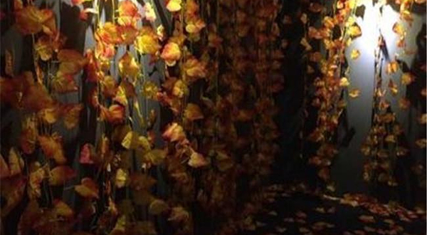 Min魔魔岛真人密室逃脱