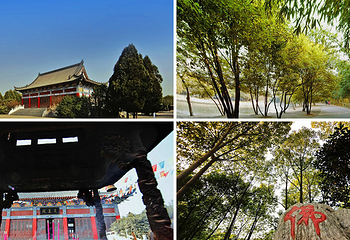 竹音寺第 4 张图片
