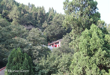 金粟山森林公园第 3 张图片