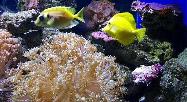 向日贝壳博物馆