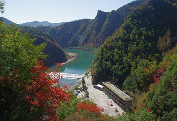 坡陇原始森林风景区第 3 张图片