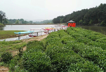 武汉木兰田园第 7 张图片