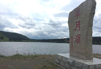 红花尔基樟子松国家森林公园第 5 张图片