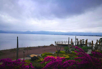 清悠海岸第 5 张图片