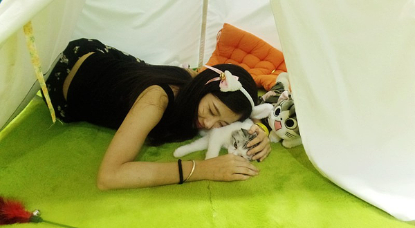 慢空间﹒萌猫展