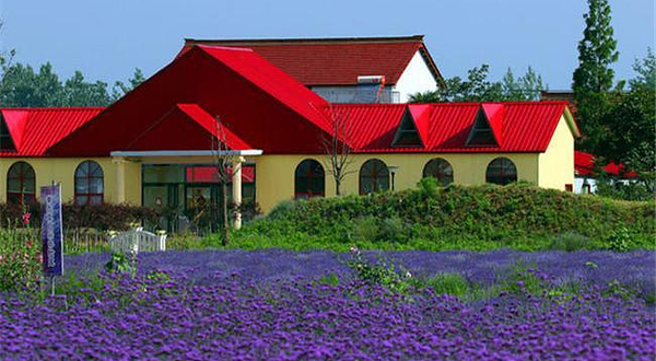 维罗纳薰衣草庄园