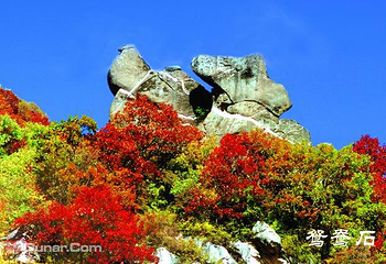 五岳寨风景区第 2 张图片
