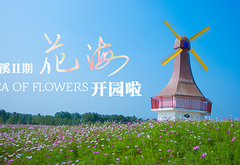 六安蓝溪大花谷第 1 张图片