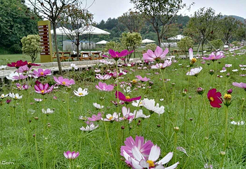 武汉木兰田园第 4 张图片