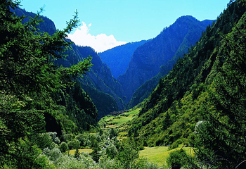 坡陇原始森林风景区第 2 张图片