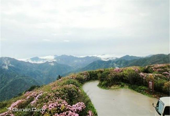 阳明山国家森林公园第 3 张图片
