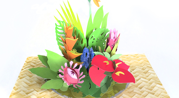 趣看立体书展览