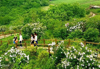 野三坡百草畔景区第 7 张图片