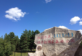 红花尔基樟子松国家森林公园第 14 张图片