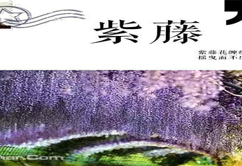 北京星空错觉艺术馆第 2 张图片