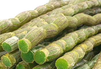 千华第 7 张图片