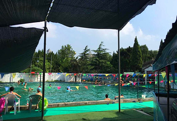 大桥公园游泳馆第 3 张图片