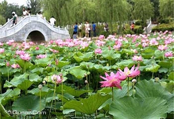 荷花湾生态园第 1 张图片