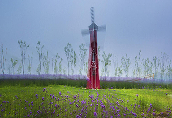 张家港初见香草园第 3 张图片