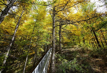 苏木山旅游区第 11 张图片