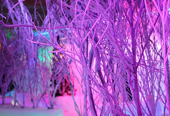 长津冰雪大世界第 14 张图片