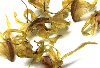 千华第 5 张图片