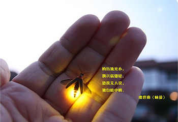 花都香草世界第 81 张图片