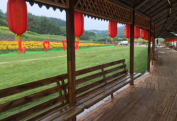 岗山花海第 16 张图片