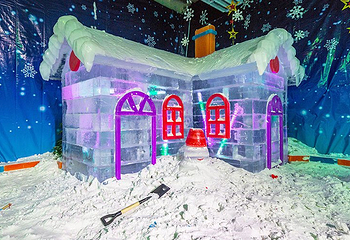 萝岗奇幻冰雪世界第 7 张图片