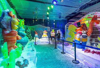 萝岗奇幻冰雪世界第 15 张图片
