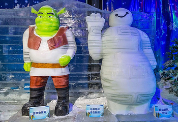 萝岗奇幻冰雪世界第 12 张图片