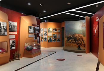 鸟巢北京会展中心知青博物馆鸟巢展第 15 张图片