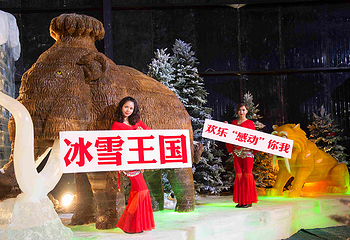 冰雪王国主题乐园第 10 张图片