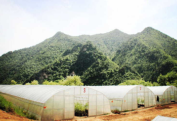 饶益蓝莓山庄第 2 张图片