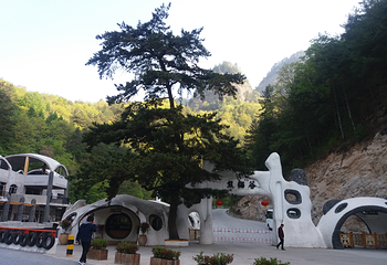 佛坪熊猫谷旅游区第 18 张图片