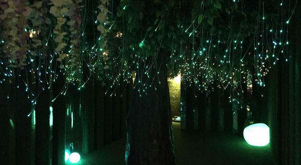 萤火虫之家科普主题乐园