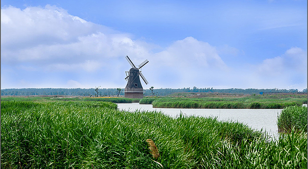 洰淀湖风景区