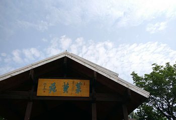 茱萸养生谷第 11 张图片