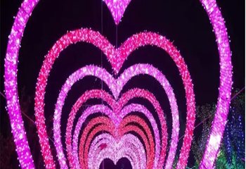 汇鑫梦幻灯光音乐节第 4 张图片
