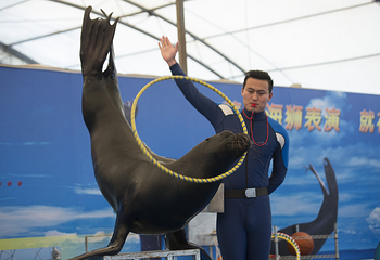 富国海底世界第 20 张图片