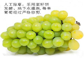 望葡苑第 4 张图片