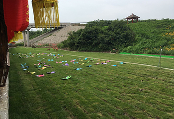 岗山花海第 14 张图片