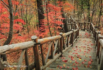 长白山奶头山女真风景区第 11 张图片