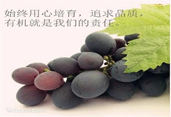 望葡苑第 3 张图片