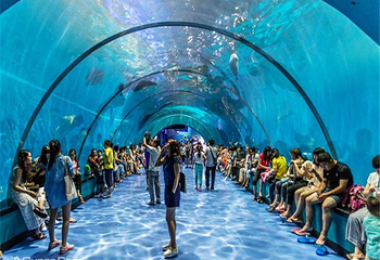 石家庄海洋公园(海悦天地购物广场店)第 3 张图片